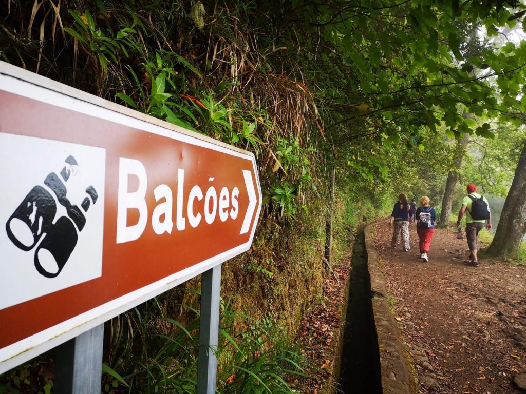 Madeira weather is like spring in Levada dos Balcoes