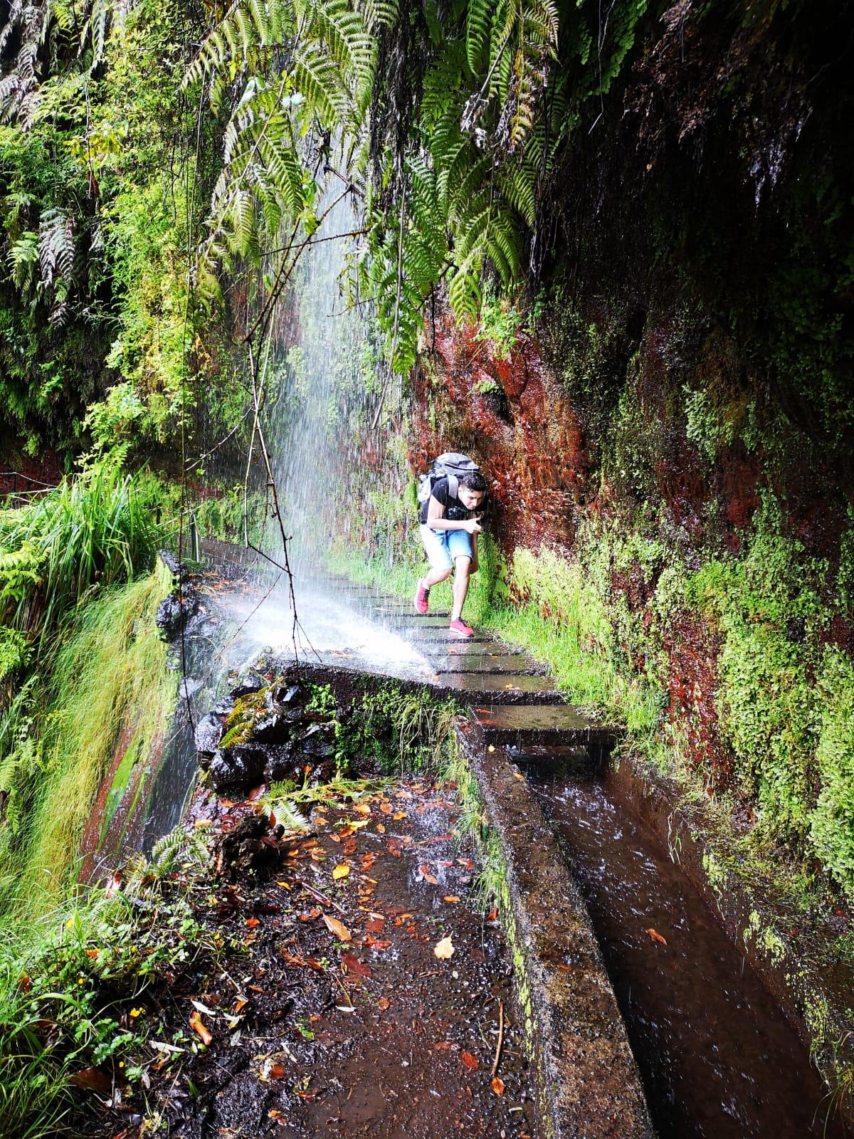 Madeira Weather Best time to Travel 7 Days Abroad