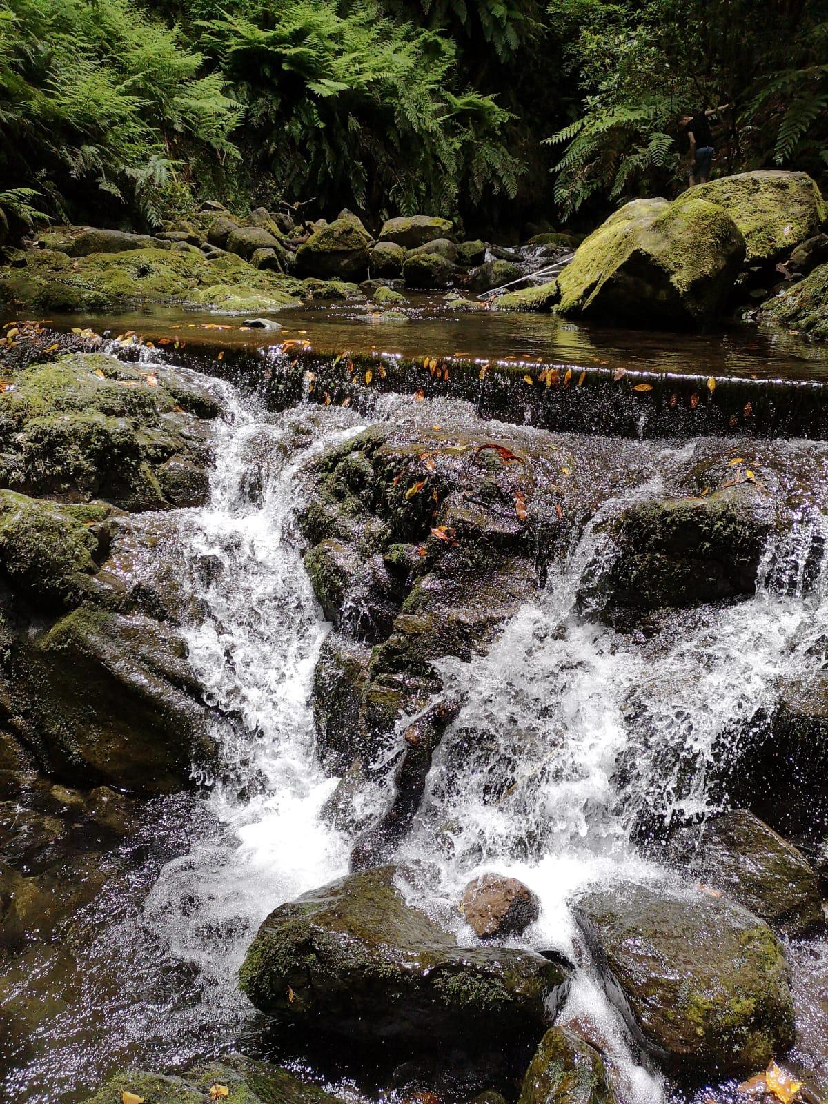 Madeira Weather Best time to Travel 7 Days Abroad