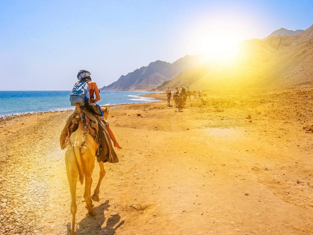 Egypt tours on camel