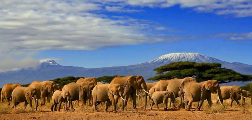 Visiting Tanzania Kilimanjaro mountain