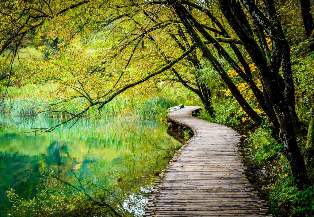 Plitvice National Park Boardwalk