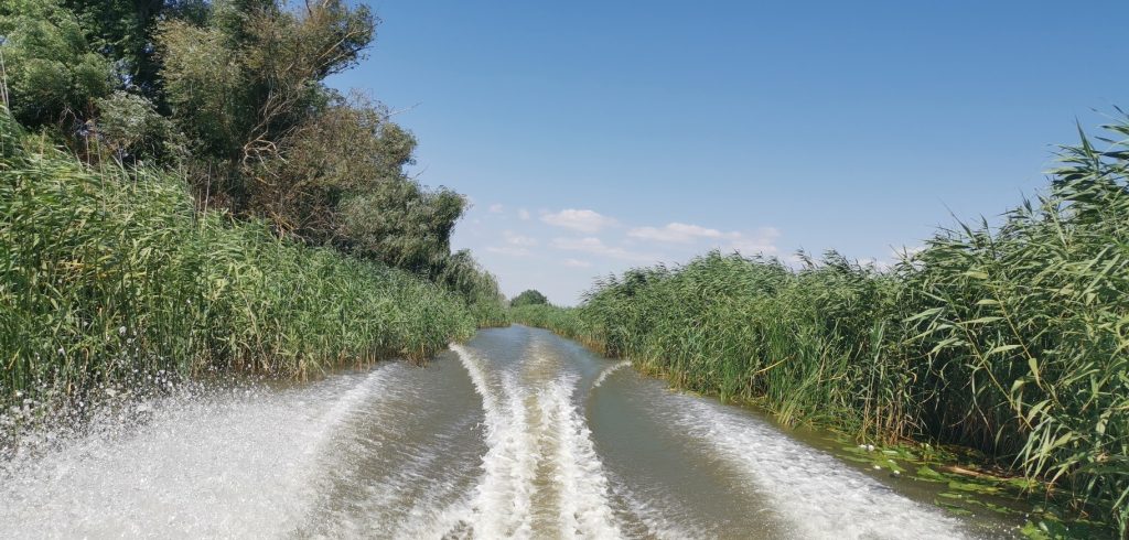 Boat ride Visiting Danube Delta