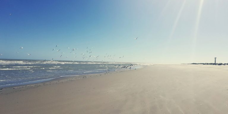 Visit Matamoros Tamaulipas Mexico What to Do 7 Days Abroad