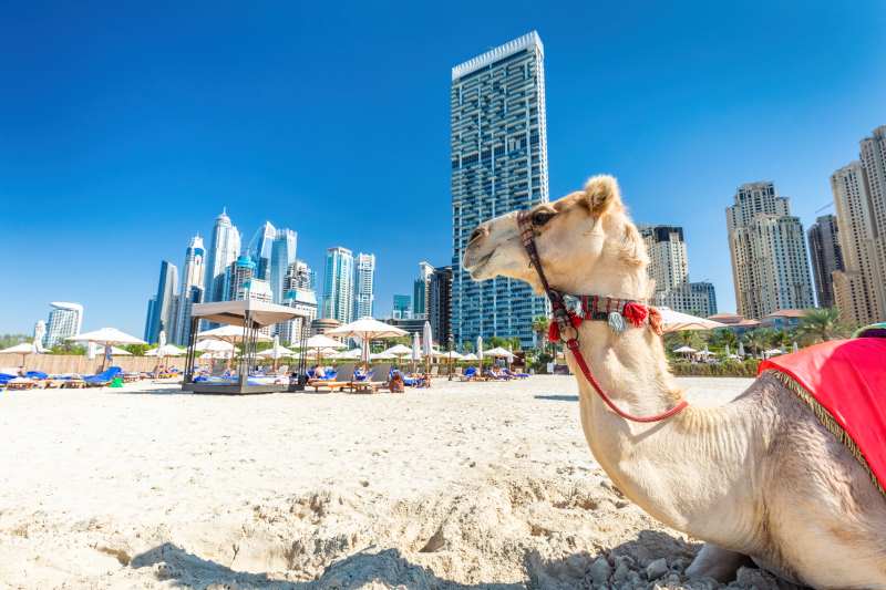 visit dubai marina