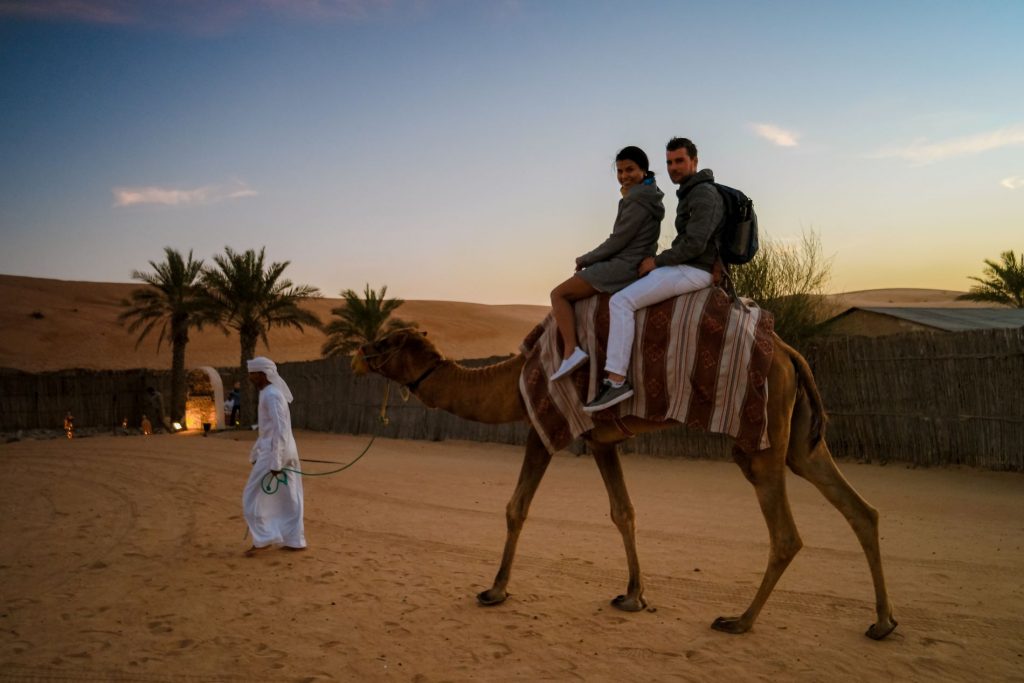 Dubai desert Safari ride on camel at dusk