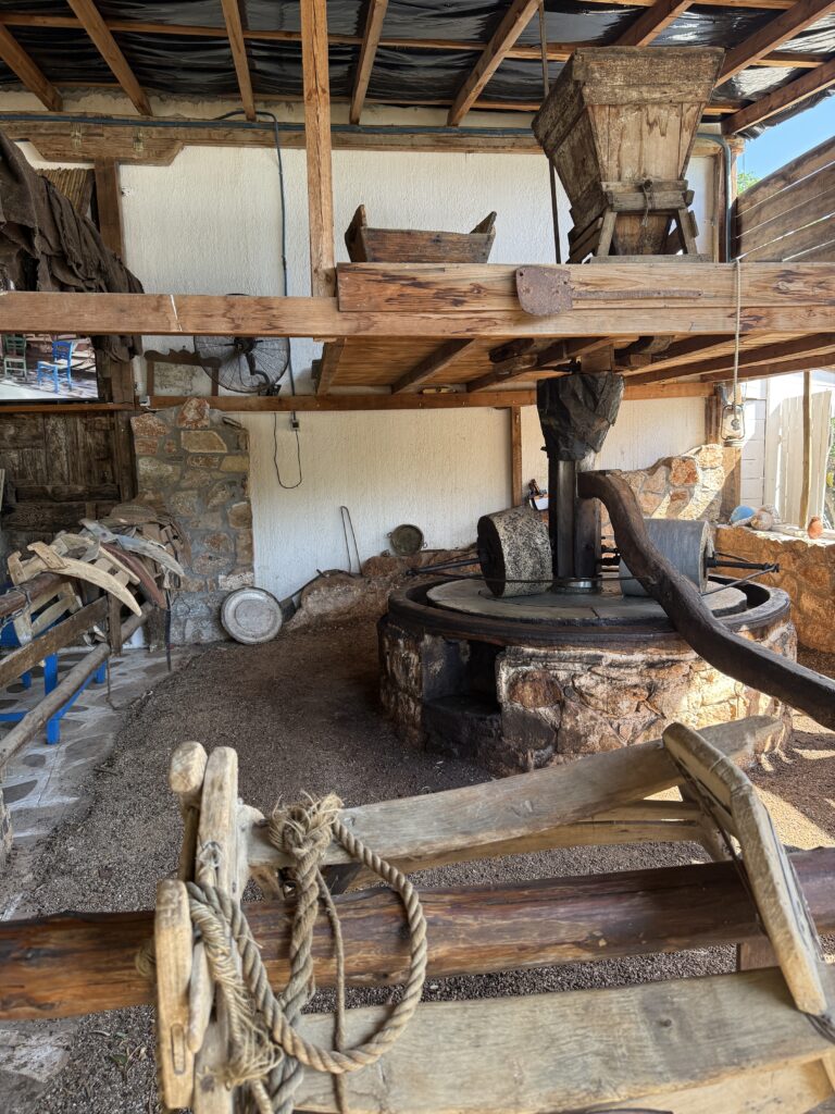  Inside Spiridi olive oil farm, old olive manual grinder.
